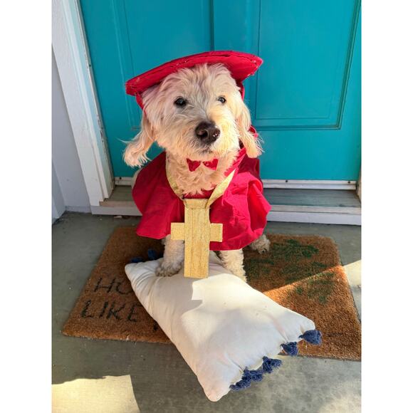 "Nobody Expects the Spanish Inquisition!" Dog Halloween Costume Monty Python - Picture 1 of 6